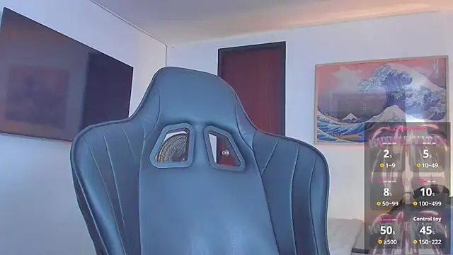 RJBarto webcam