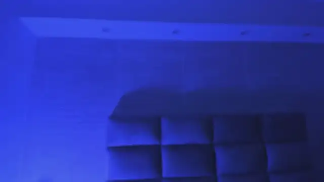 lea_walkerr webcam