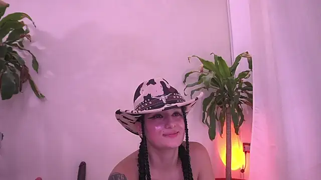Sisirojas webcam