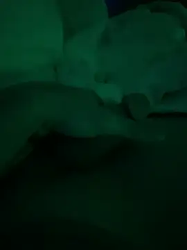 thehornyboi76 webcam