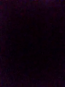 Steevengjgftkjhtek webcam