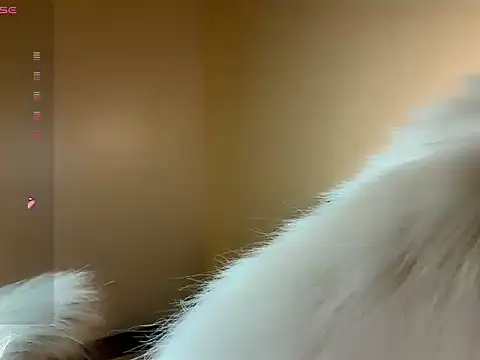 Gorjuicess's live cam