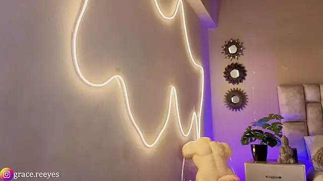 Silvermistt webcam