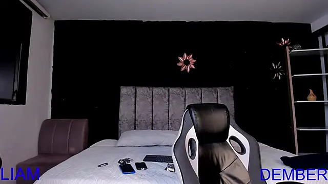 LiamDeep webcam