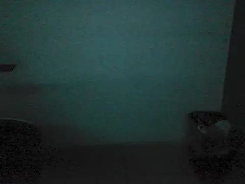 Kalel17073 webcam