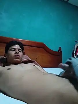 Batm01 webcam