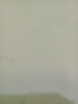 Paayal_0 webcam