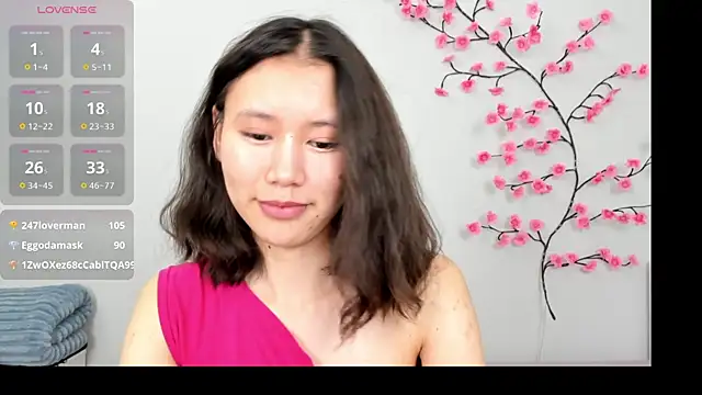 Kiraeko webcam