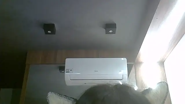 SkinnyKitten webcam