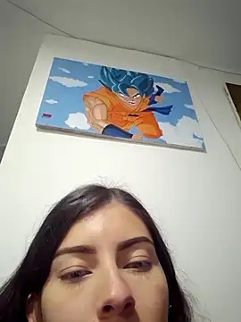 IrisBound webcam