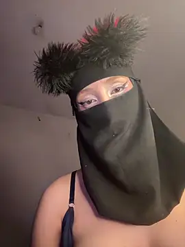 arabayla webcam