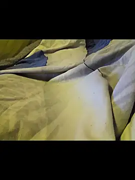 bigbog9323 webcam
