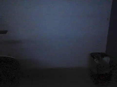 Kalel17073 webcam