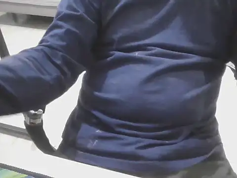 Hugopingonasa2024 webcam
