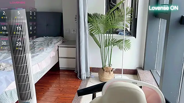 xiaosu22 webcam
