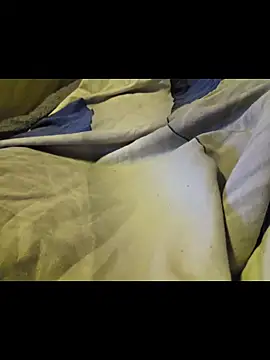 bigbog9323 webcam