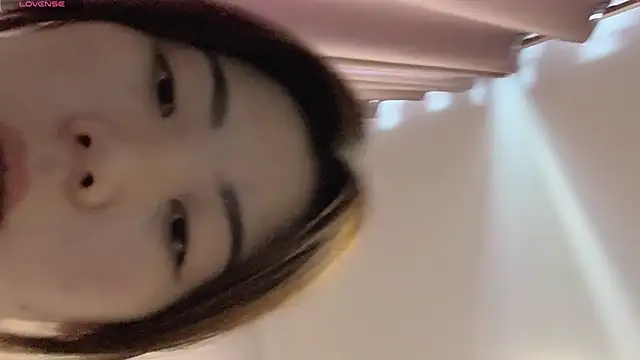 bao-bao- webcam