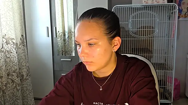 AtticNobel webcam