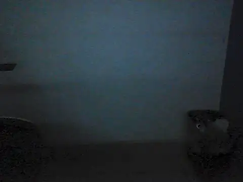 Kalel17073 live cam on StripChat
