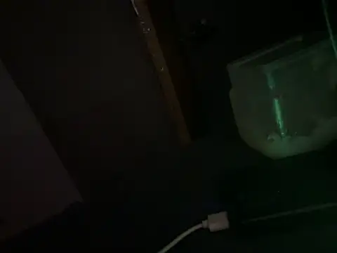 Ryanandtasha7877 webcam