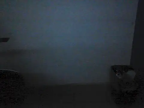 Kalel17073 webcam