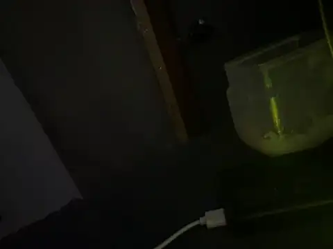 Ryanandtasha7877 webcam