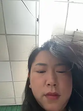 DHJM168 webcam