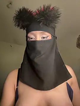 arabayla webcam