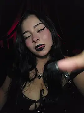 VeroNoiir webcam