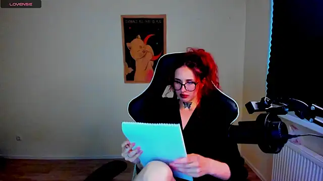 your_tora webcam