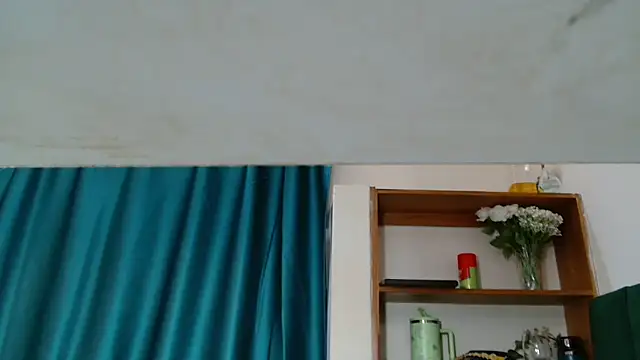 Theecougar webcam