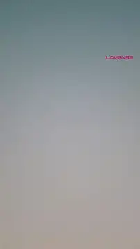 Lovensetest webcam