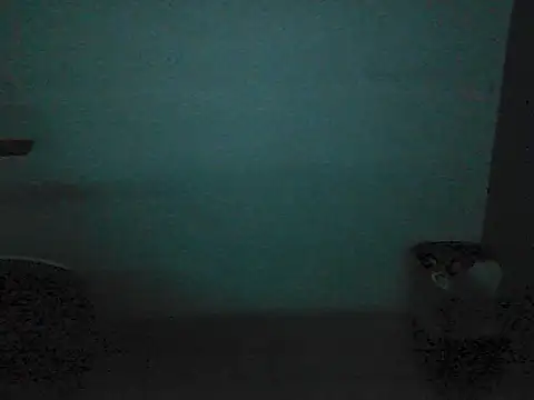 Kalel17073 webcam