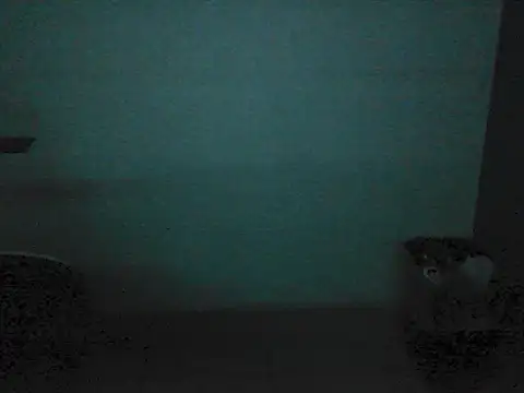 Kalel17073 webcam