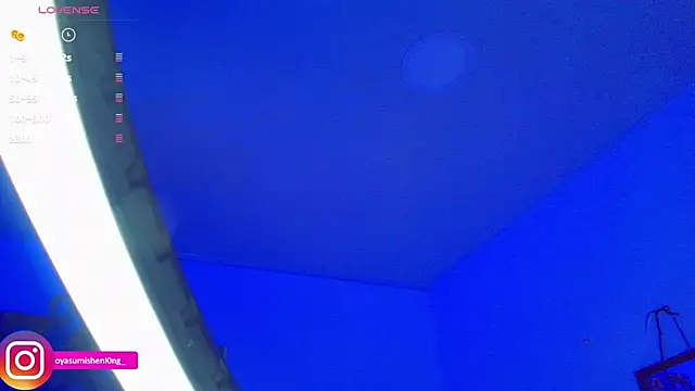 Nicorobinn webcam