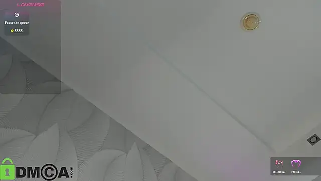 Krysadapp webcam