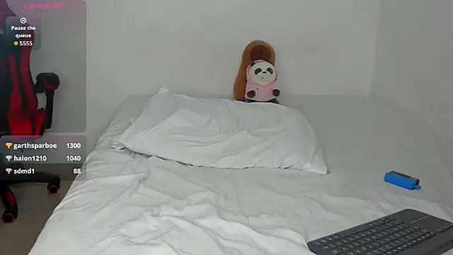 DrakeSmith_ webcam