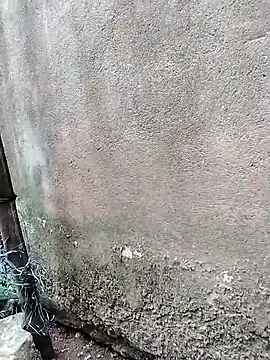 Sea-ice webcam
