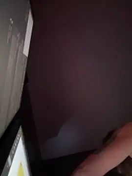 Ragnarrodbrok webcam