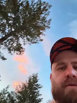 themountainbearmx