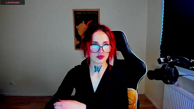 your_tora webcam