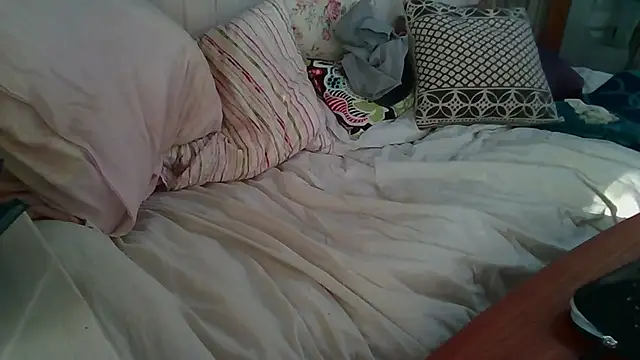 Stock-Holmes webcam