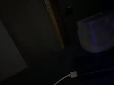 Ryanandtasha7877 webcam