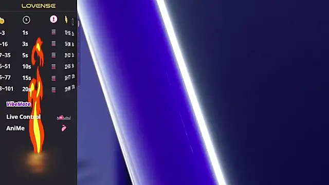 Max-prada webcam