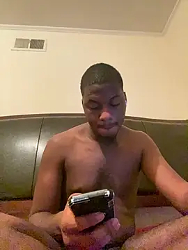 ThickDic28 webcam