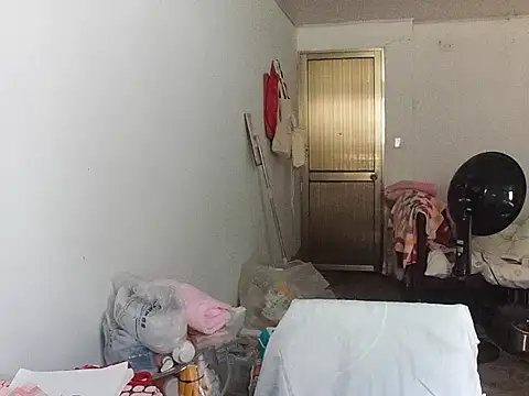 RebelAura webcam