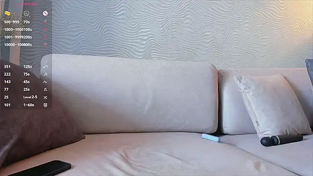 SageFrommer webcam