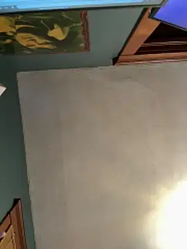 Ragnarrodbrok webcam