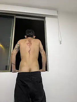 NikoStone_ webcam