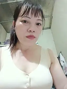 Sana-vn webcam
